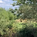 Holiday home Pipop - The Place Where Find Your Soul Again